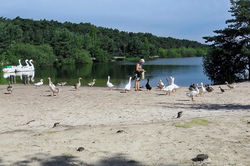 SP062016 (53).jpg